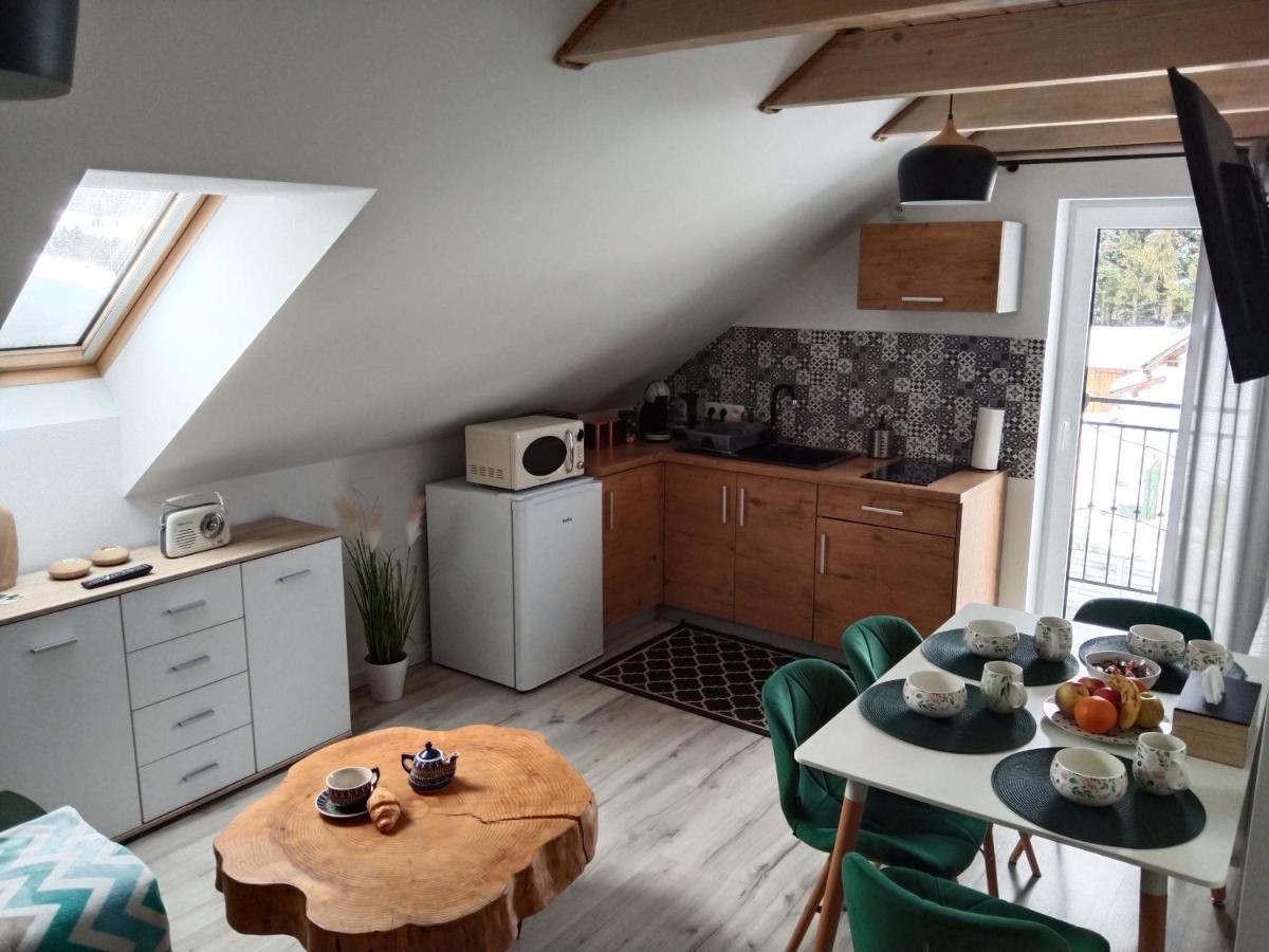 Apartamenty Rownia 2 Ustrzyki Dolne Kültér fotó