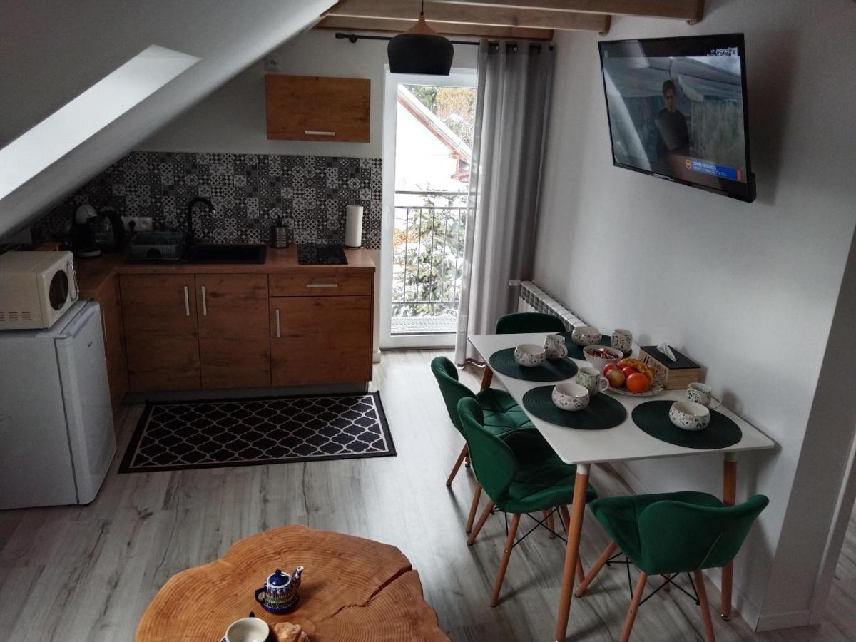 Apartamenty Rownia 2 Ustrzyki Dolne Kültér fotó